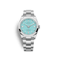 Rolex Oyster Perpetual